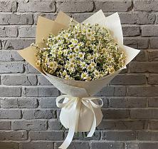 Букет цветов из:  Ромашки в Октябрьском Красноярского края