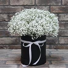 Цветочная композиция из Гипсофила в шляпной коробке в Октябрьском Красноярского края