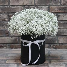 Цветочная композиция из Гипсофила в шляпной коробке в Октябрьском Красноярского края