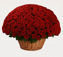 Премиум букет из: Розы в Октябрьском Красноярского края