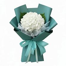 Букет цветов из:  Гортензия в Октябрьском Красноярского края